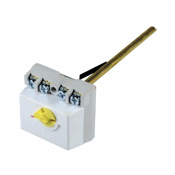 Thermostat à canne TUS 450 mm à patte Mono 150 L / 200 L - 703520